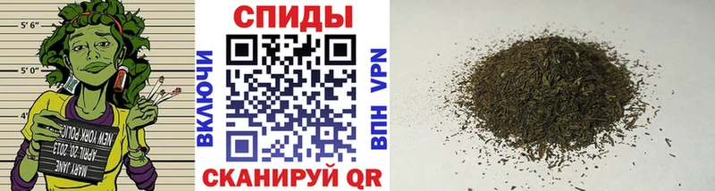 OMG маркетплейс  Сурск  Бутират оксана 