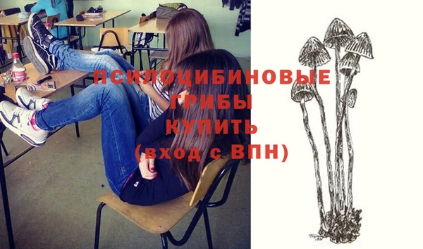 ECSTASY Лихославль