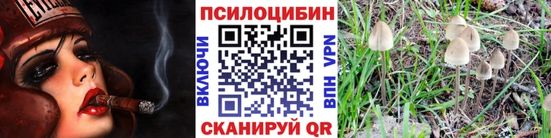 купить наркотики цена  Сурск  блэк спрут сайт  Галлюциногенные грибы GOLDEN TEACHER 